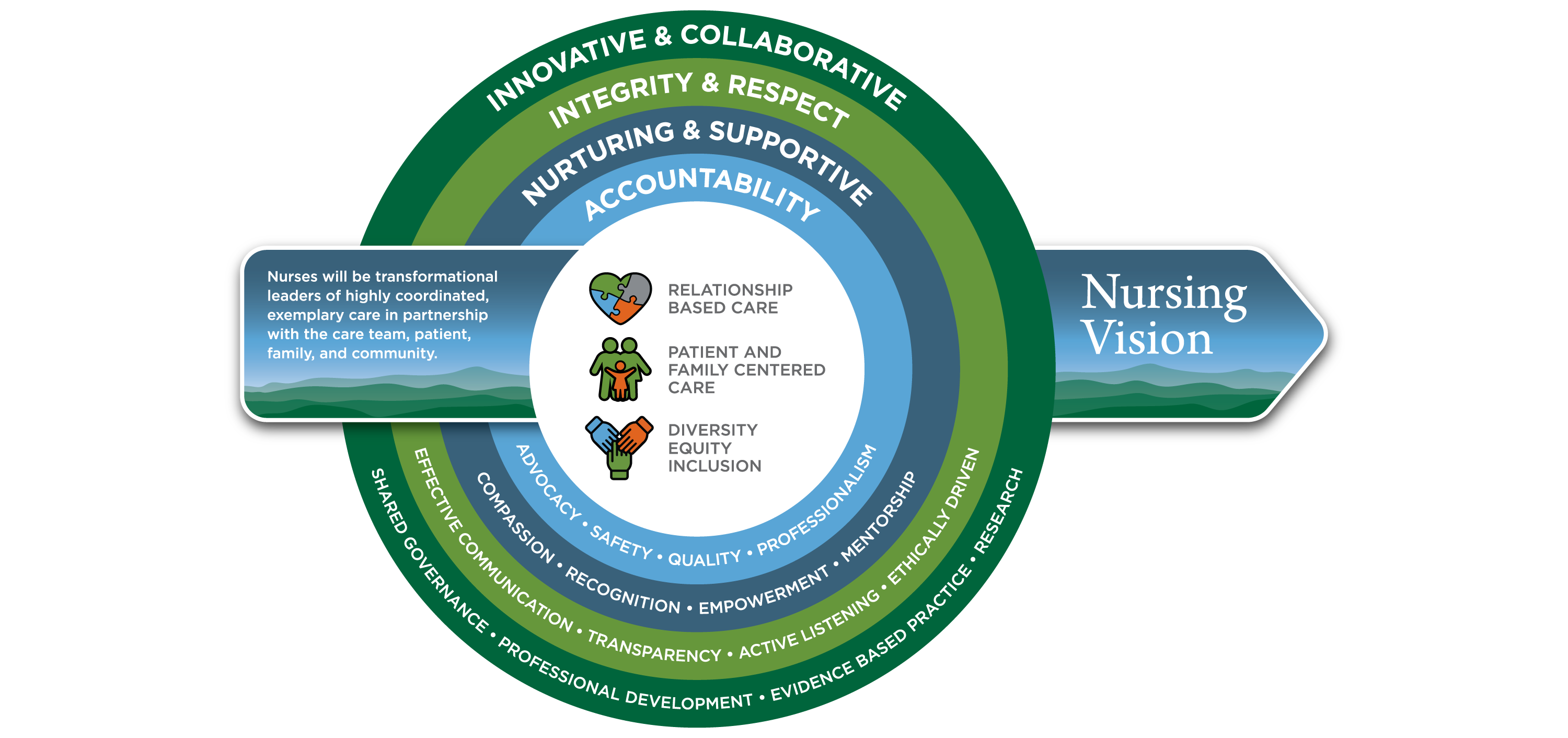 Professional Practice Model Infographic