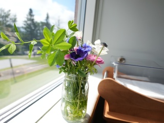 Close-up of flowers on a windowsill in the Porter Birthing Center.