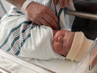 A newborn baby rests.