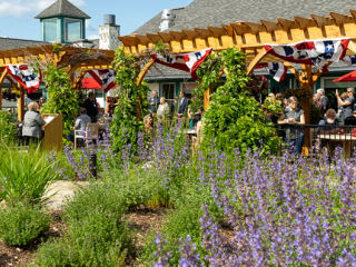 Celebration in the new Woodridge Courtyard.