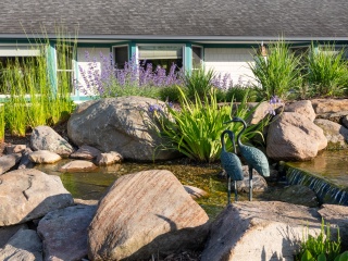 Decorative pond and water feature in the courtyard at Woodridge Rehabilitation.