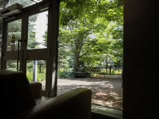 Shows a chair with a view of greenery outside.