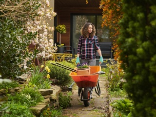 Stock photo of an adult woman wheeling a wheelbarrow down a garden path.