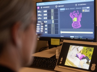 A medical professional looks on at linear accelerator imaging.