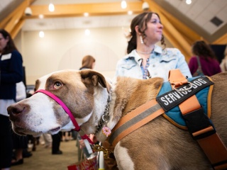 A service dog in a blue and orange “Service Dog” harness stands among attendees at Health Equity Summitevent.