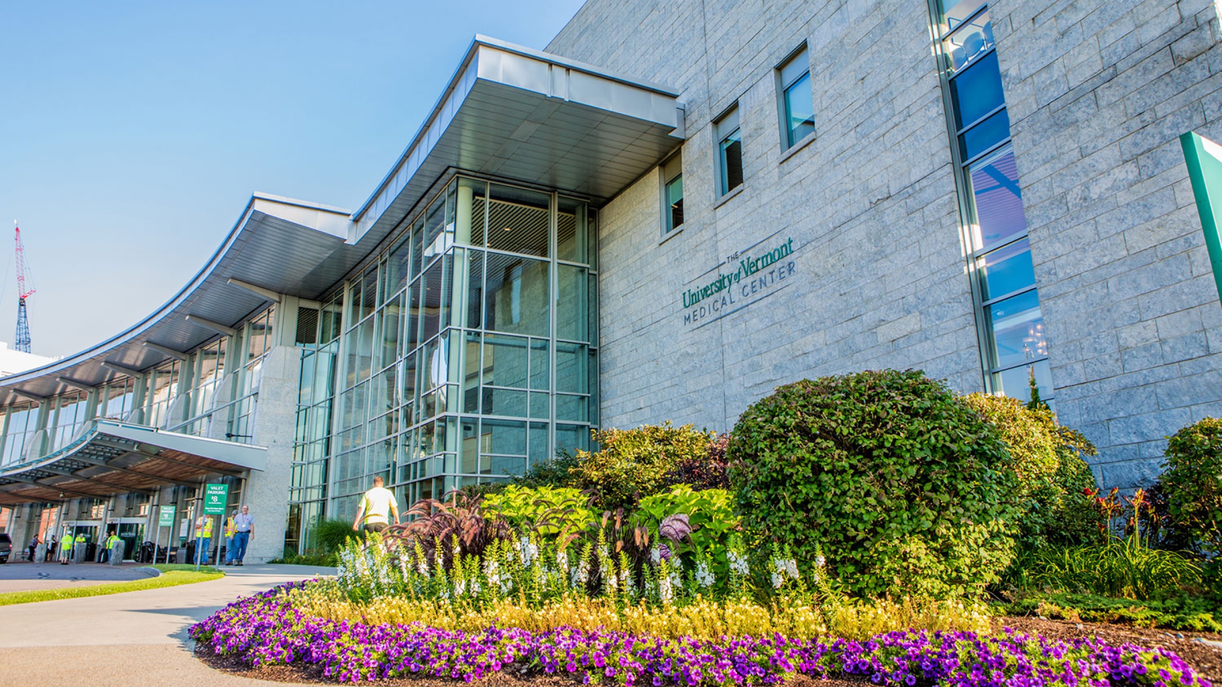 UVM Medical Center Joins National Pain Treatment Study | University of ...