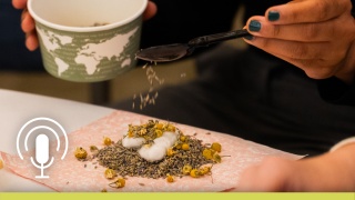 Seasoning is sprinkled on food.