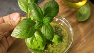 Photo of a sprig of fresh basil.