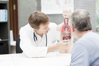 A medical provider shows a patient a model of a kidney.