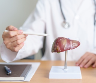 A medical provider points to a diagram of a liver.
