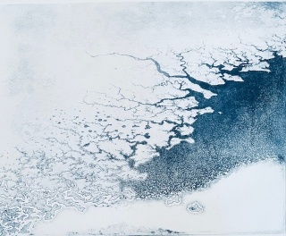 Fractals in nature artwork by Carole McNamee.