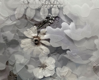 Garden of Dreams: Works by Cathy Cone painting.