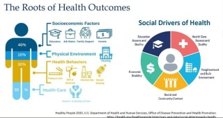 Roots of Health Outcome graphic