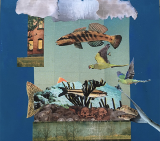 SkyFish by Suzanne Rexford Winston