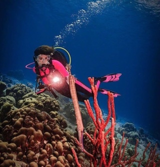 Diagnostic Radiology Faculty Sally Herschorn scuba diving